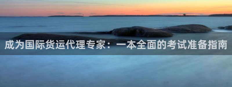 尊龙凯时app安装：成为国际货运代理专家：一本全面的考试