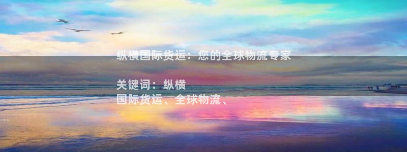 尊龙棋牌软件有挂吗：纵横国际货运：您的全球物流专家

关