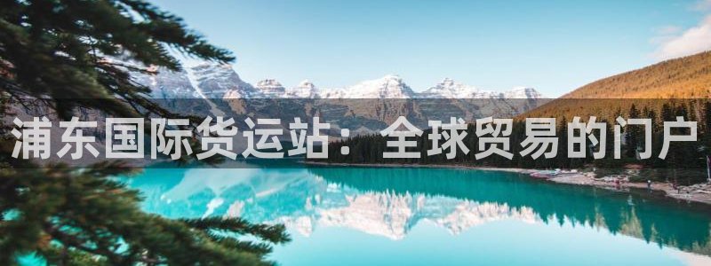 尊龙凯时游戏厅：浦东国际货运站：全球贸易的门户