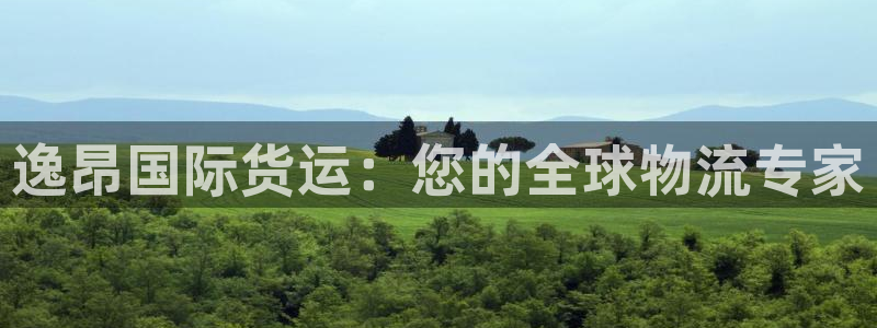 d88尊龙手机客户端下载：逸昂国际货运：您的全球物流专家