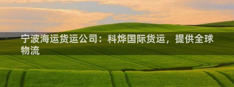 尊龙凯时人生就博：宁波海运货运公司：科烨国际货运，提供全