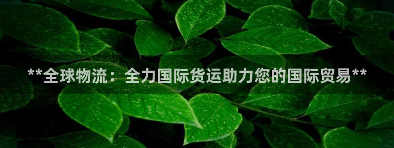 尊龙人生就是博现金：**全球物流：全力国际货运助力您的国