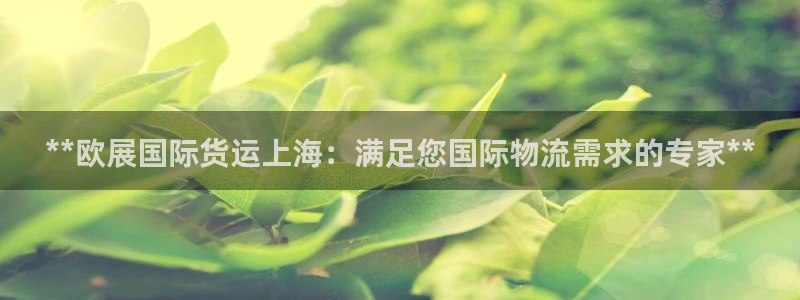 尊龙凯时的企业文化：**欧展国际货运上海：满足您国际物流