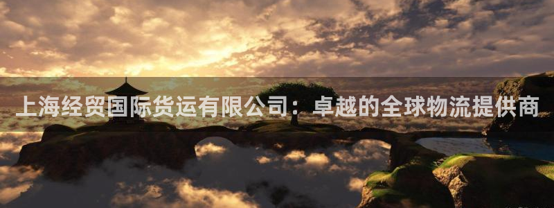 尊龙,人生就是搏：上海经贸国际货运有限公司：卓越的全球物