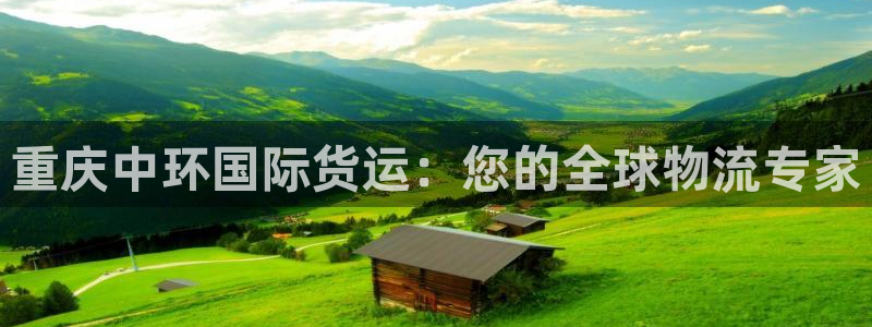 尊龙尊龙：重庆中环国际货运：您的全球物流专家