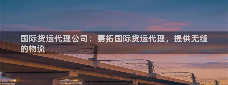 尊龙 贴吧：国际货运代理公司：赛拓国际货运代理，提供无缝