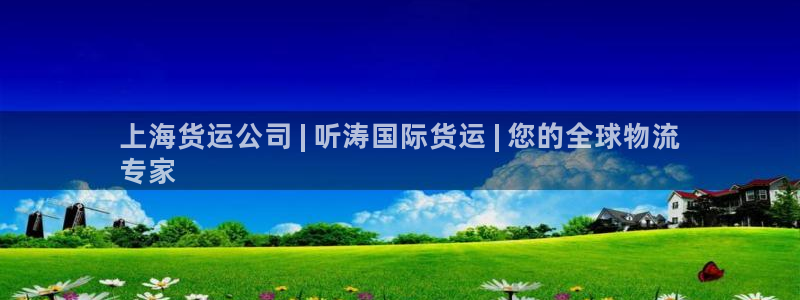 尊龙集团有限公司官网：上海货运公司 | 听涛国际货运 |
