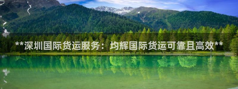 尊龙凯时人生就是搏官方网站：**深圳国际货运服务：均辉国