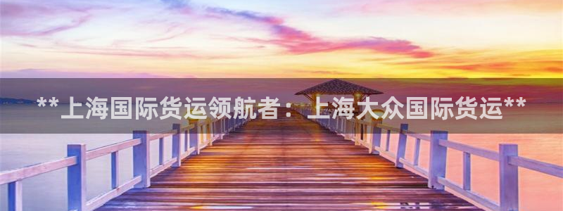 z6尊龙凯时旗：**上海国际货运领航者：上海大众国际货运