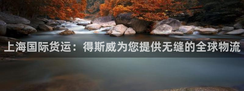 尊龙凯时人生就是搏 品牌专区：上海国际货运：得斯威为您提
