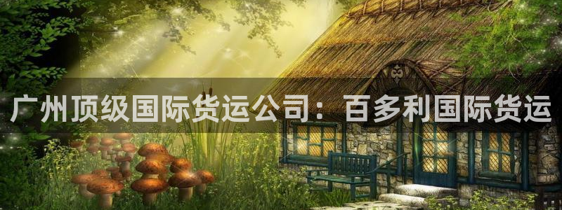 尊龙一人生就是搏：广州顶级国际货运公司：百多利国际货运