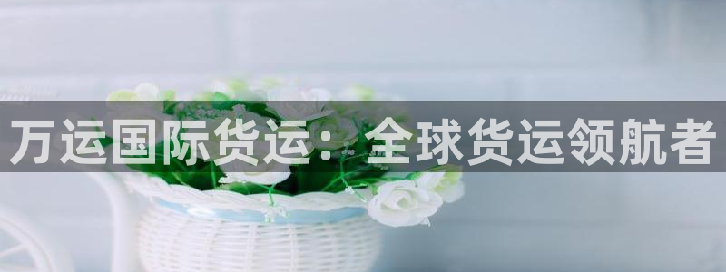 尊龙—人生就是博：万运国际货运：全球货运领航者