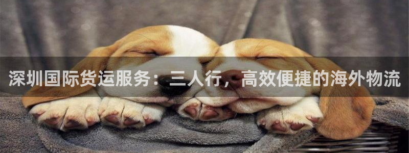 尊龙凯时福米推荐人：深圳国际货运服务：三人行，高效便捷的