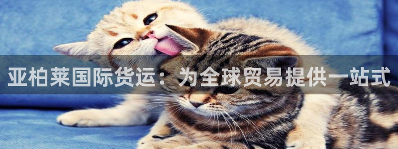 尊龙官网首页：亚柏莱国际货运：为全球贸易提供一站式
