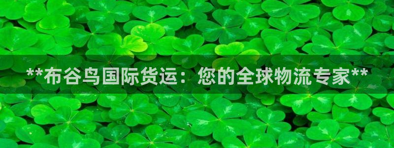 尊龙新版手机app下载：**布谷鸟国际货运：您的全球物流