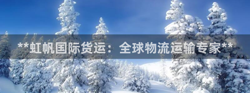尊龙个人资料简介：**虹帆国际货运：全球物流运输专家**