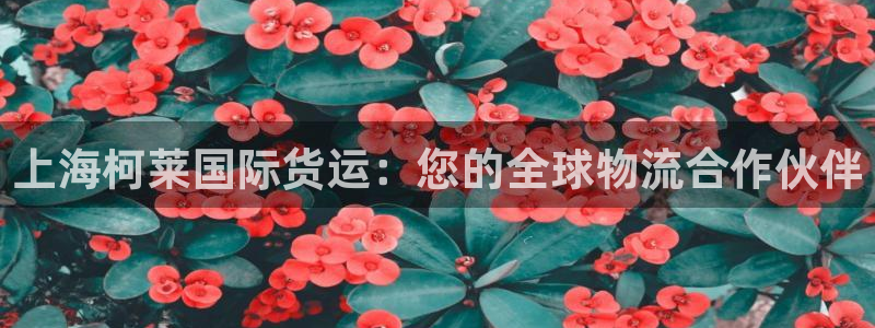 尊龙凯时品牌介绍：上海柯莱国际货运：您的全球物流合作伙伴