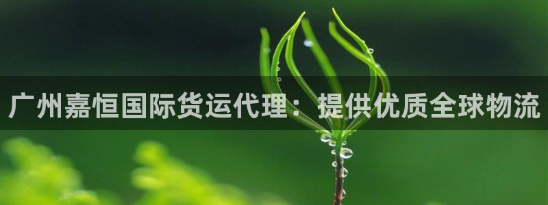 尊龙集团有限公司是国企吗：广州嘉恒国际货运代理：提供优质
