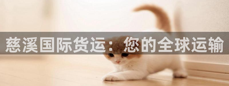 尊龙凯时几百万怎么下：慈溪国际货运：您的全球运输