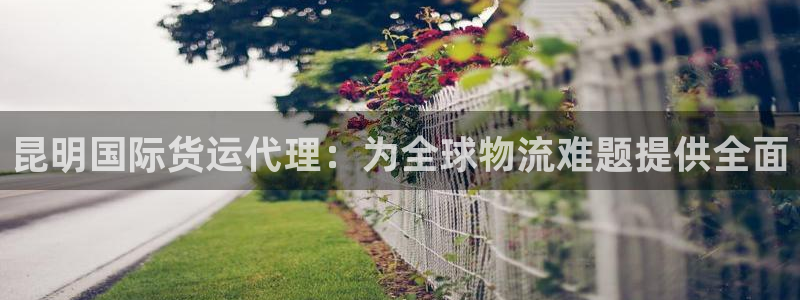 尊龙t300和t400哪个好：昆明国际货运代理：为全球物