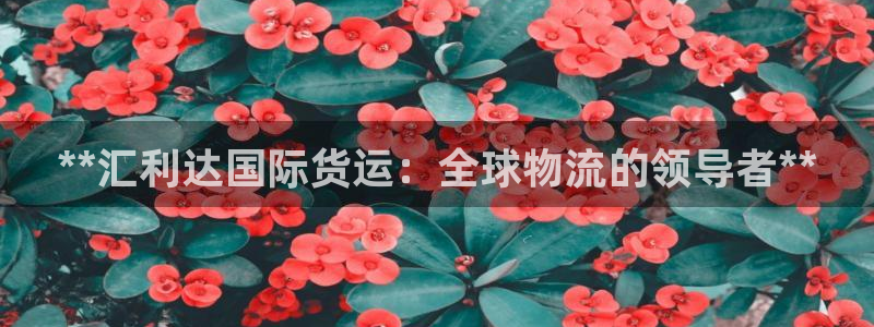 尊龙凯时最新平台登陆：**汇利达国际货运：全球物流的领导