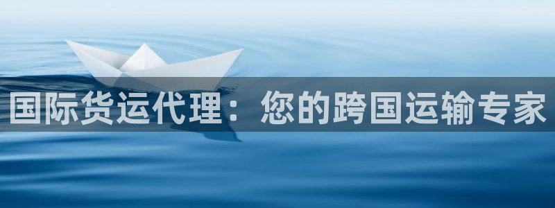尊龙集团：国际货运代理：您的跨国运输专家