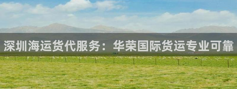尊龙新版官网网页版：深圳海运货代服务：华荣国际货运专业可