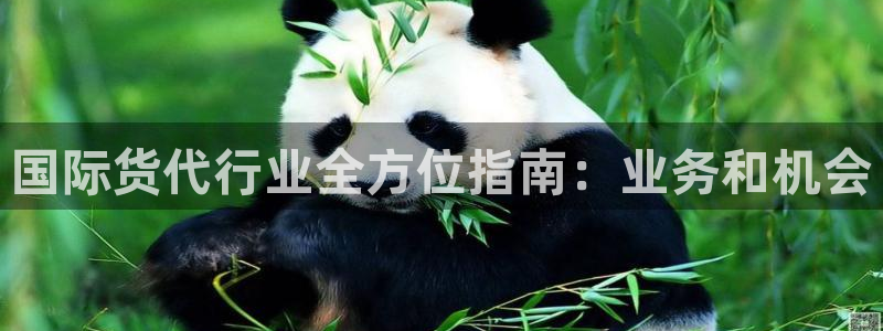 尊龙凯时返现：国际货代行业全方位指南：业务和机会