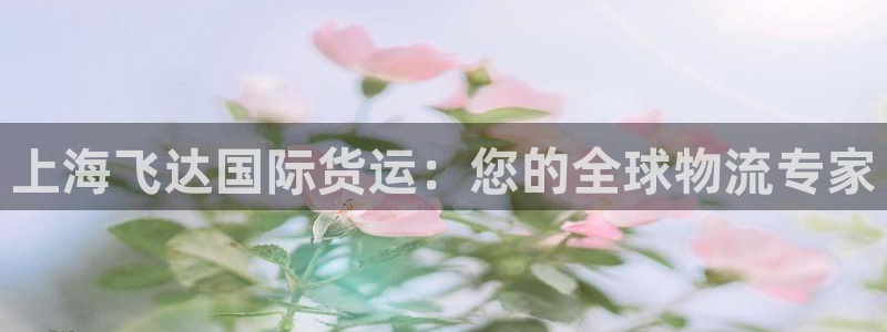 尊龙d88ag旗舰厅：上海飞达国际货运：您的全球物流专家