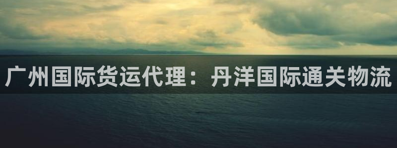 尊龙凯时取款一直支付中：广州国际货运代理：丹洋国际通关物