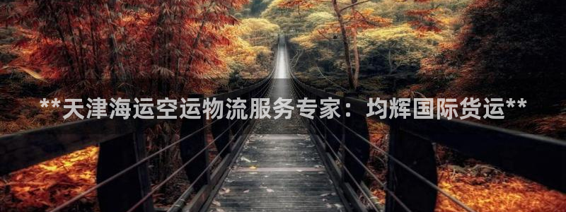 尊龙凯时输了100万：**天津海运空运物流服务专家：均辉