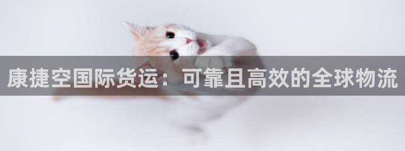 尊龙凯时法充十万返现多少：康捷空国际货运：可靠且高效的全