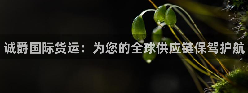 尊龙凯时企业文化：诚爵国际货运：为您的全球供应链保驾护航