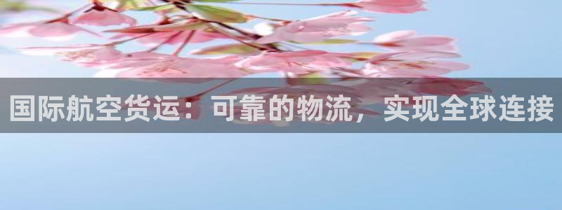 尊龙体育怎么样：国际航空货运：可靠的物流，实现全球连接