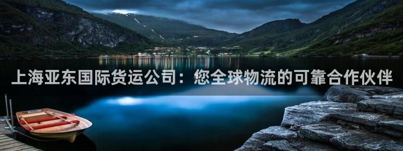 尊龙手机官方客户端下载：上海亚东国际货运公司：您全球物流