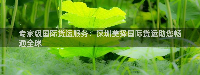 尊龙凯时人生就是博游戏网站：专家级国际货运服务：深圳美择