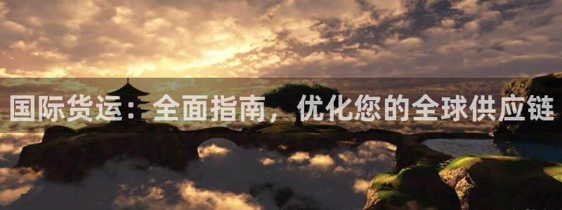尊龙 10：国际货运：全面指南，优化您的全球供应链