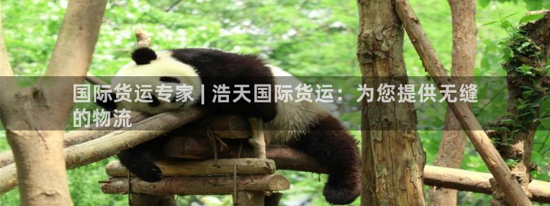 尊龙实业有限公司是正规还是仿：国际货运专家 | 浩天国际