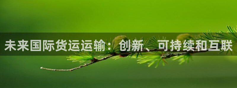 尊龙凯时输了100万：未来国际货运运输：创新、可持续和互