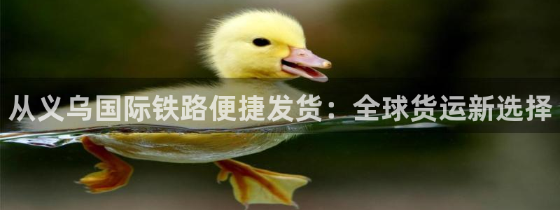 尊龙官网下载：从义乌国际铁路便捷发货：全球货运新选择