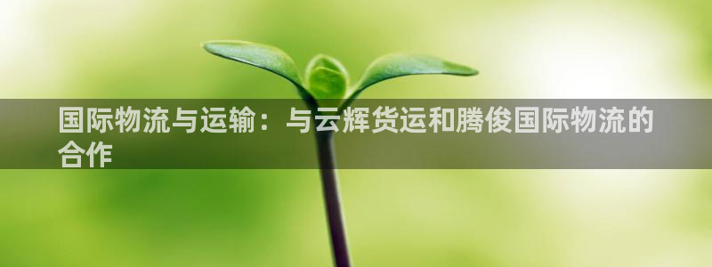 尊龙d88官网so问来就送38：国际物流与运输：与云辉货