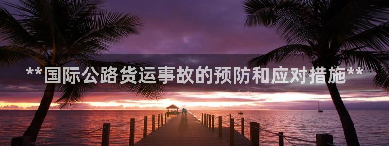 尊龙凯时人生就是搏官方网站：**国际公路货运事故的预防和