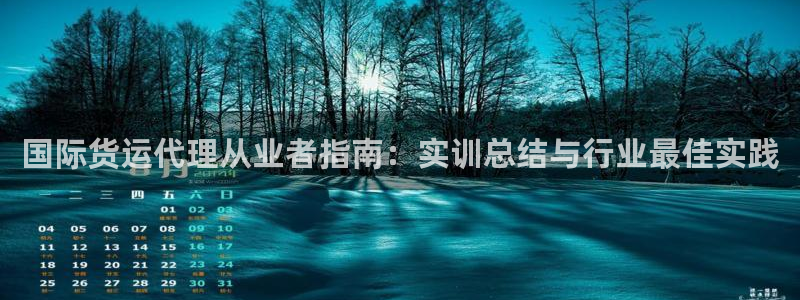 尊龙官网手：国际货运代理从业者指南：实训总结与行业最佳实