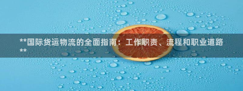 尊龙凯时白家乐Abb下载：**国际货运物流的全面指南：工