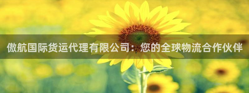 尊龙凯时用户名m：傲航国际货运代理有限公司：您的全球物流