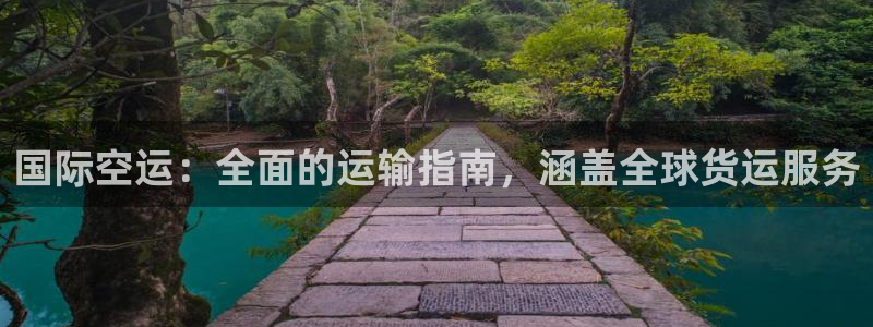 尊龙凯时能做退米么：国际空运：全面的运输指南，涵盖全球货
