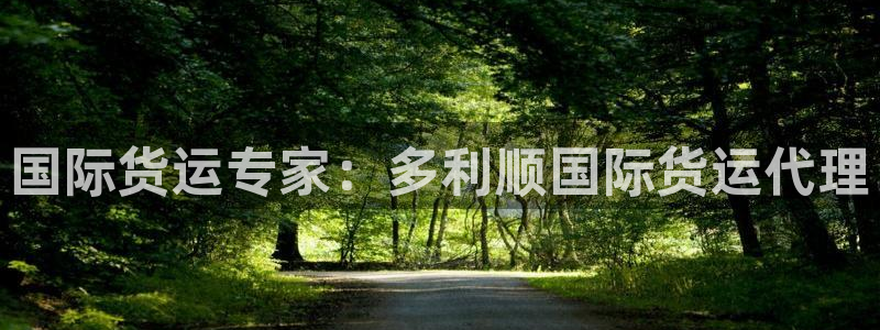 尊龙凯时存款多久到账：国际货运专家：多利顺国际货运代理