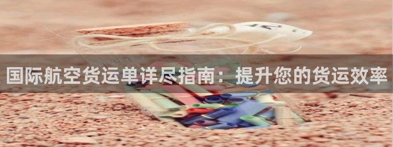 尊龙凯时手机版·(中国)官方网站：国际航空货运单详尽指南