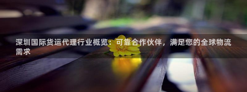 尊龙ag旗舰厅下载：深圳国际货运代理行业概览：可靠合作伙