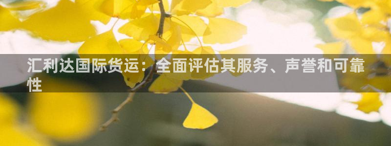 尊龙凯时提款一直审核中：汇利达国际货运：全面评估其服务、